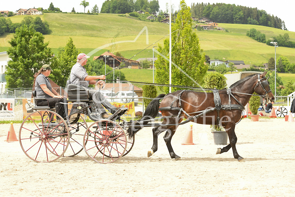 20180527-133009-PRI-2859.jpg