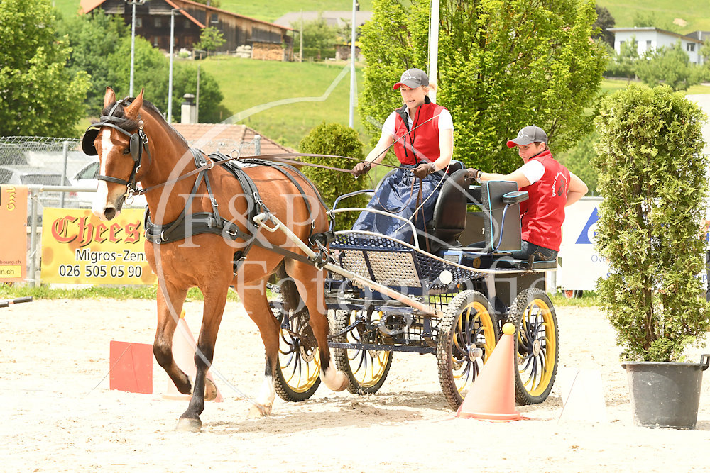 20180527-133317-PRI-2870.jpg