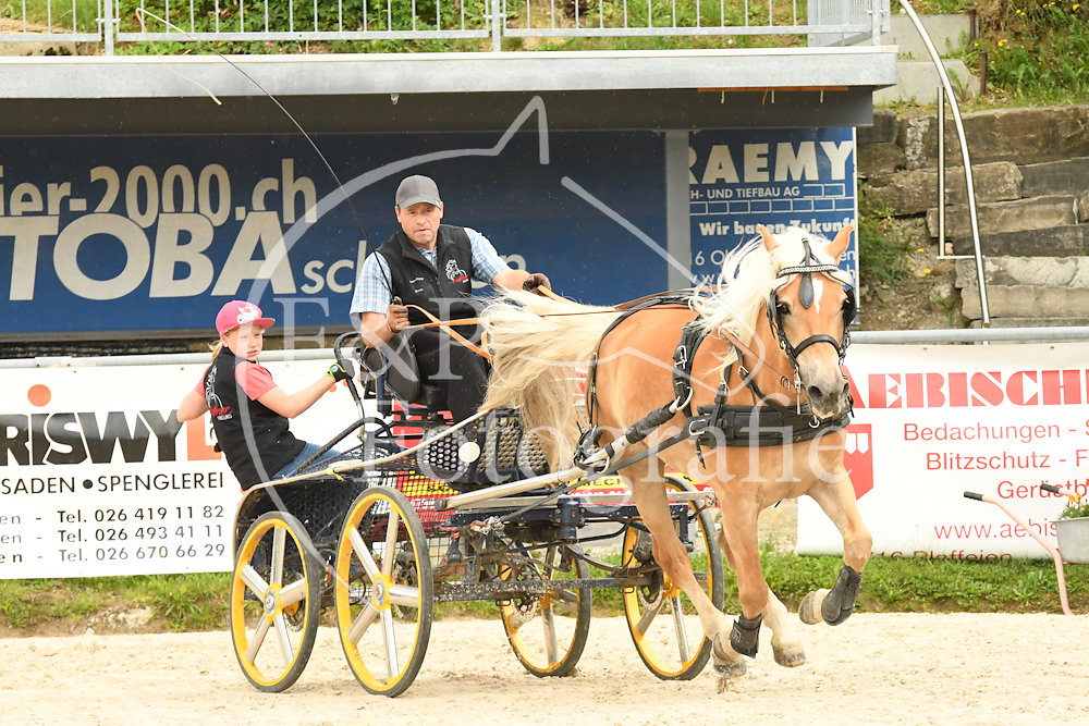 20180527-105309-PRI-2575.jpg