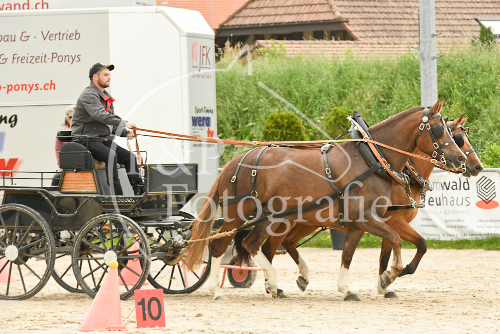 20180527-125233-PRI-2782.jpg