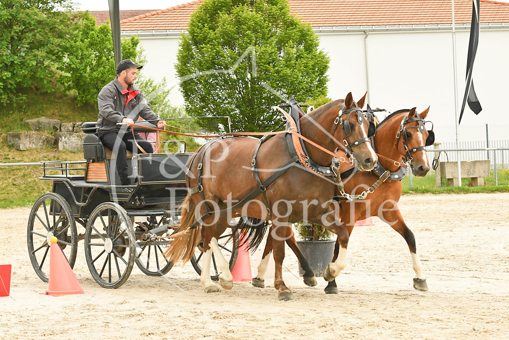 20180527-125353-PRI-2789.jpg