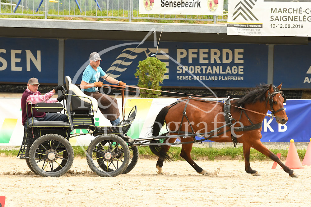 20180527-110934-PRI-2618.jpg