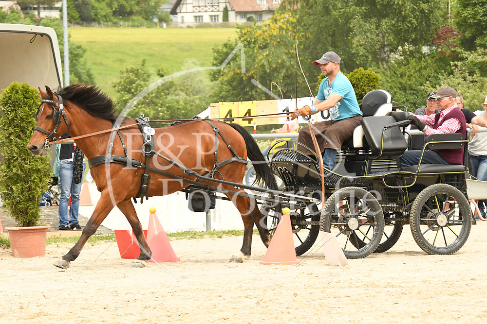 20180527-110944-PRI-2619.jpg