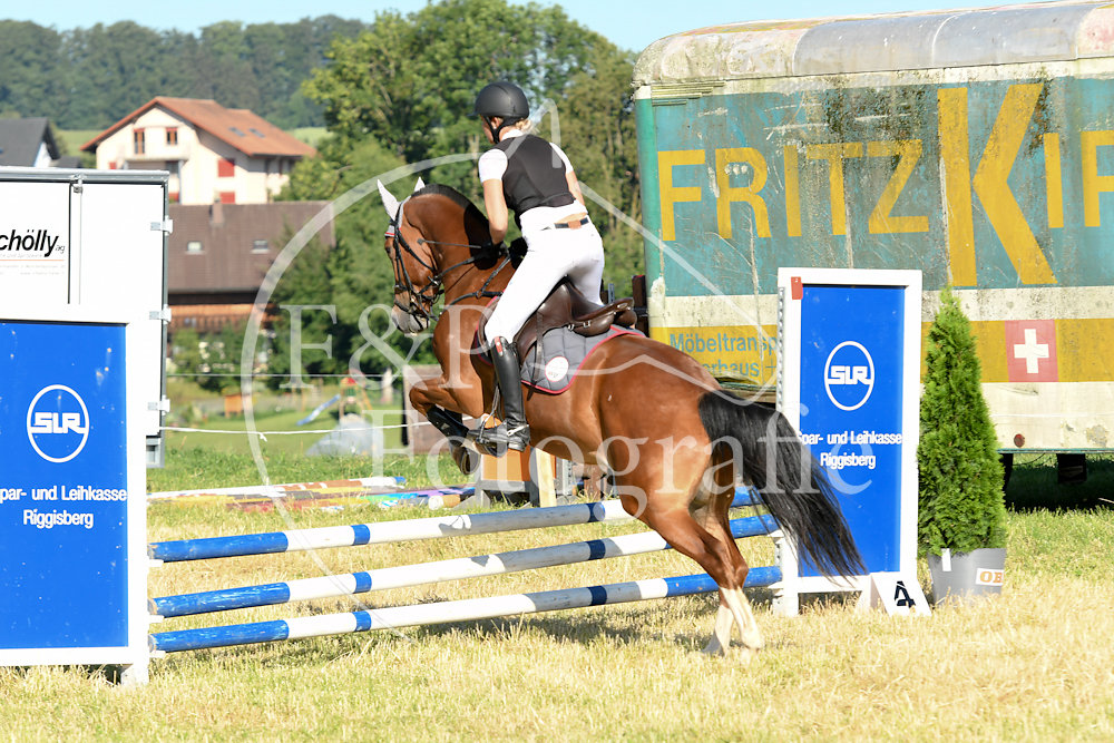 20180623-073251-PRI-3167.jpg