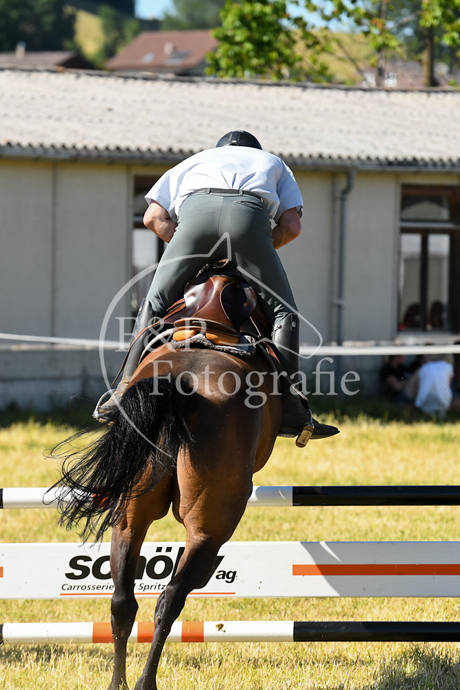 20180623-160947-PRI-3731.jpg