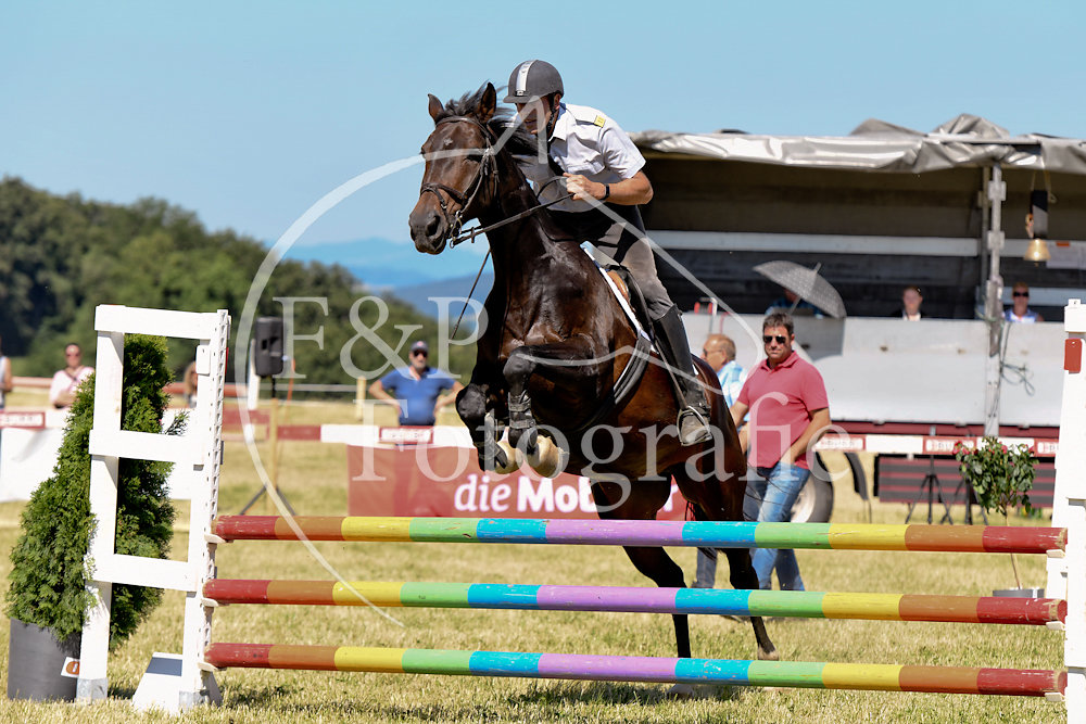 20180623-151442-PRI-3669.jpg