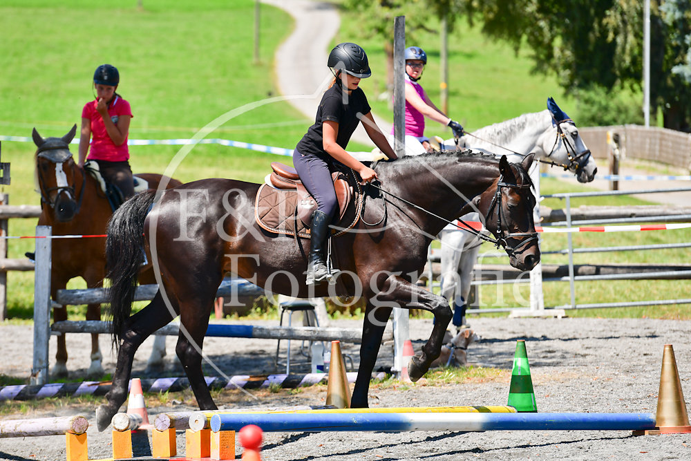 20180729121628-PRI-4295.jpg