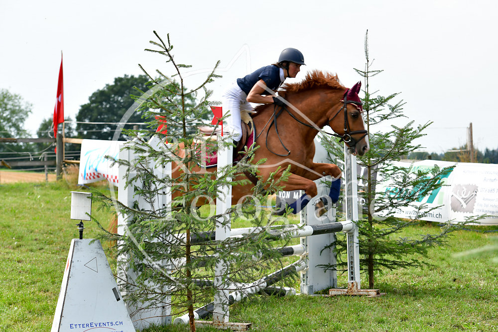 20180804145818-PRI-4682.jpg
