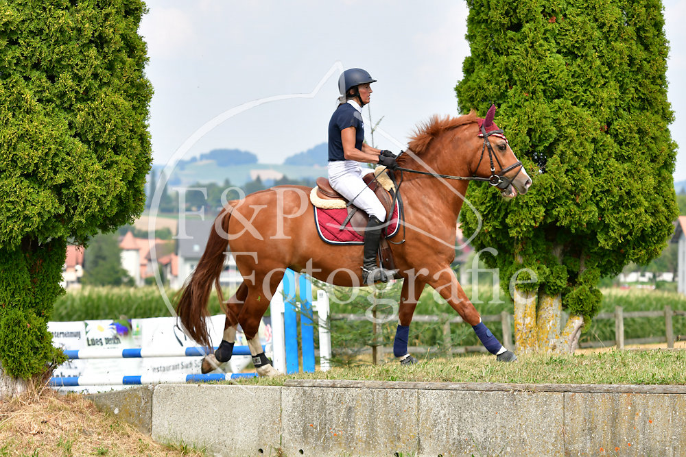 20180804145917-PRI-4687.jpg