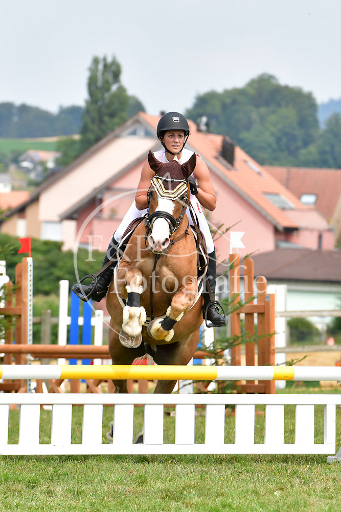 20180804144815-PRI-4662.jpg