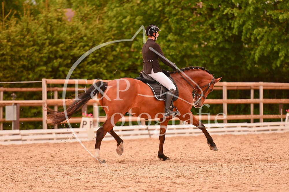 20190525162625-PRI-1008.jpg
