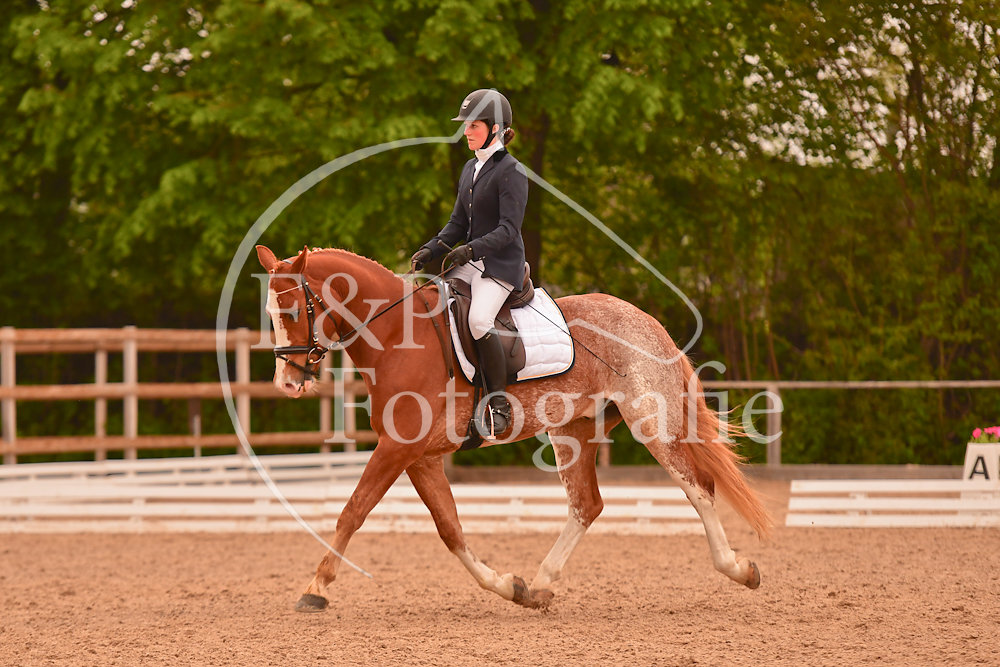 20190526072530-PRI-1233.jpg