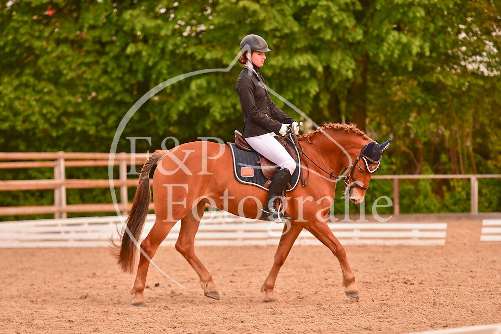 20190526083322-PRI-1319.jpg