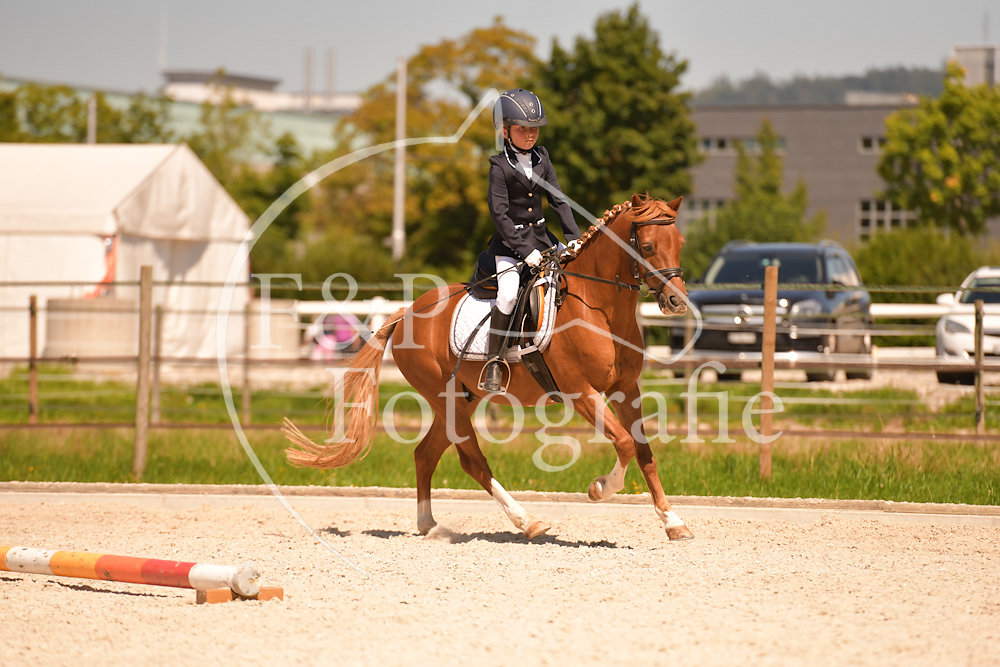 20190825125347-PRI-3037.jpg