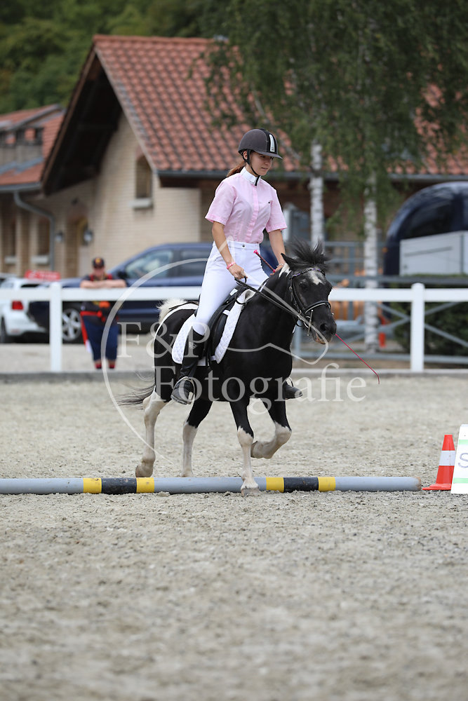 Gymkhana P23 Stufe II