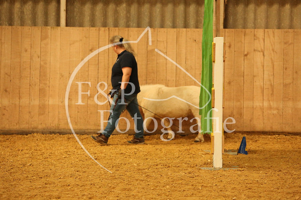 BAP St.2 Kat.1 SVPK Pony P4.3