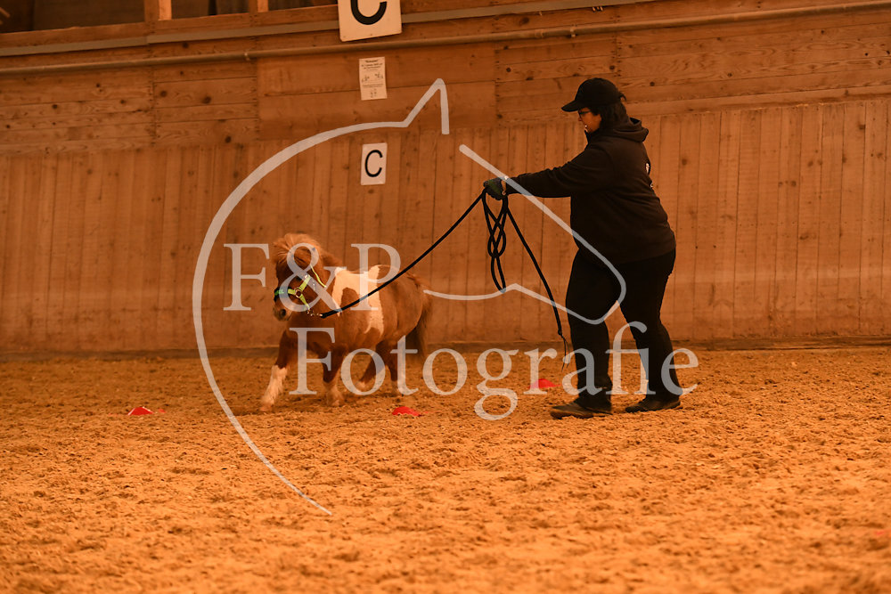 20180407-064423-JAS-0603.jpg