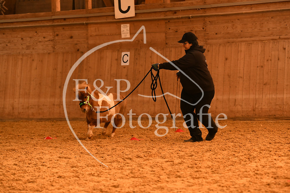 20180407-064423-JAS-0604.jpg