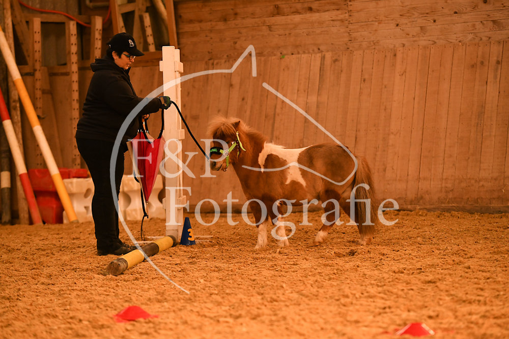 20180407-064452-JAS-0606.jpg