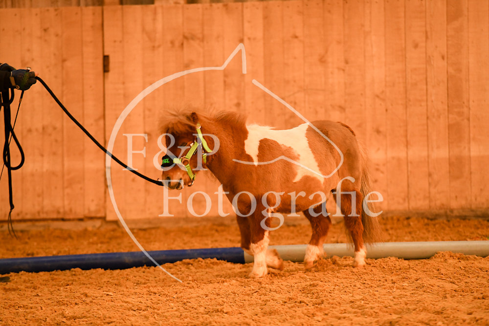20180407-064605-JAS-0612.jpg