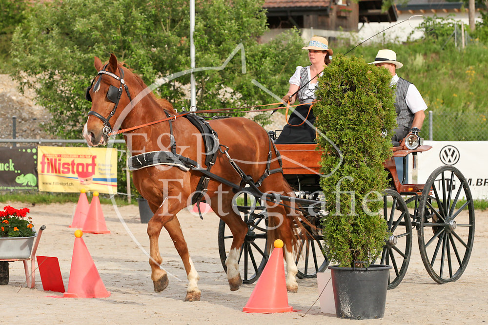 Plaffeien 26.-27.05.2018