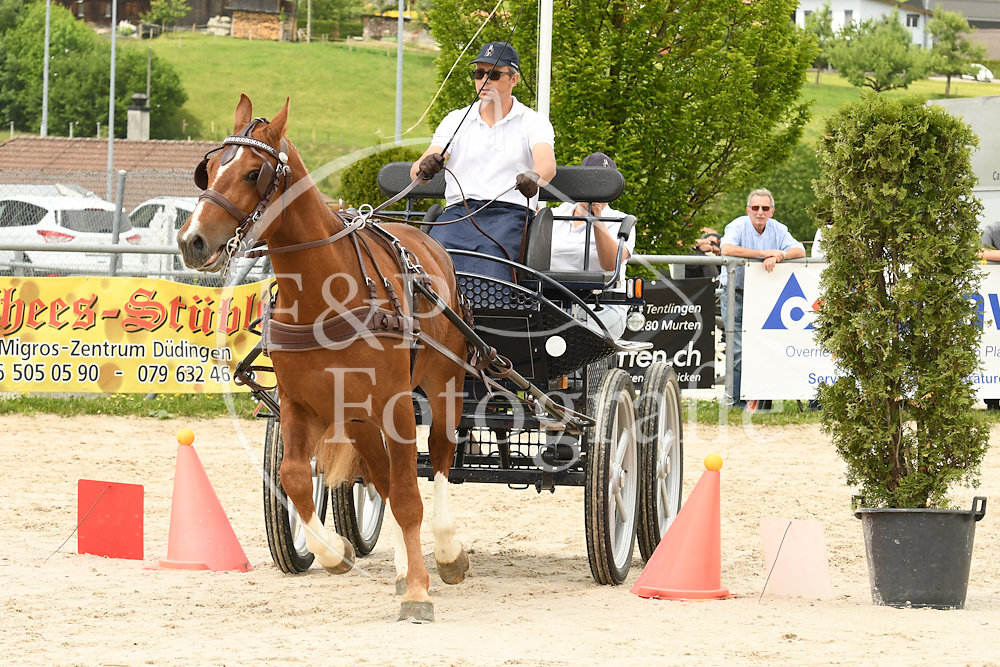 20180527-132723-PRI-2850.jpg
