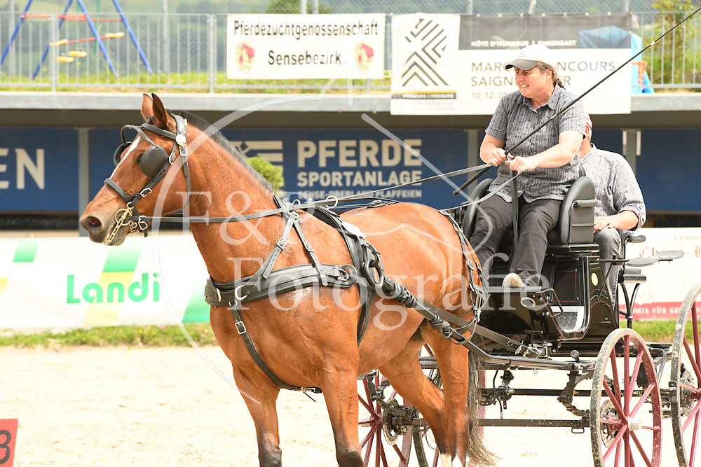 20180527-110232-PRI-2601.jpg