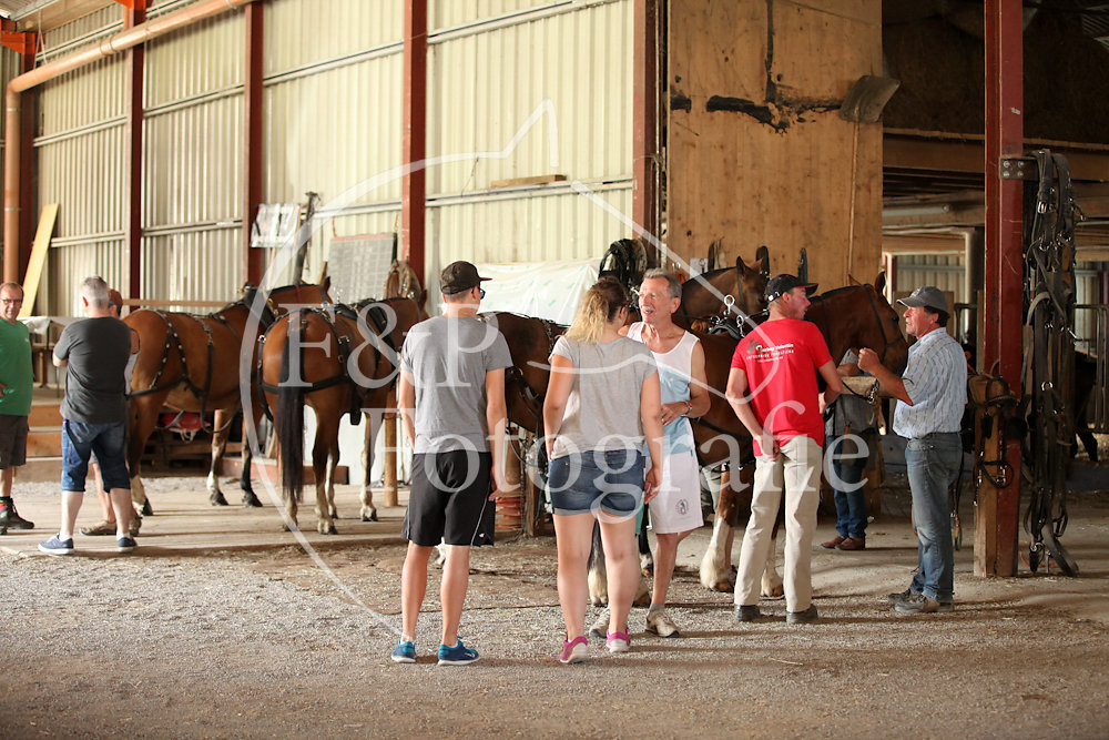 FM Haute-Broye Vorbereitung Marché-Concours