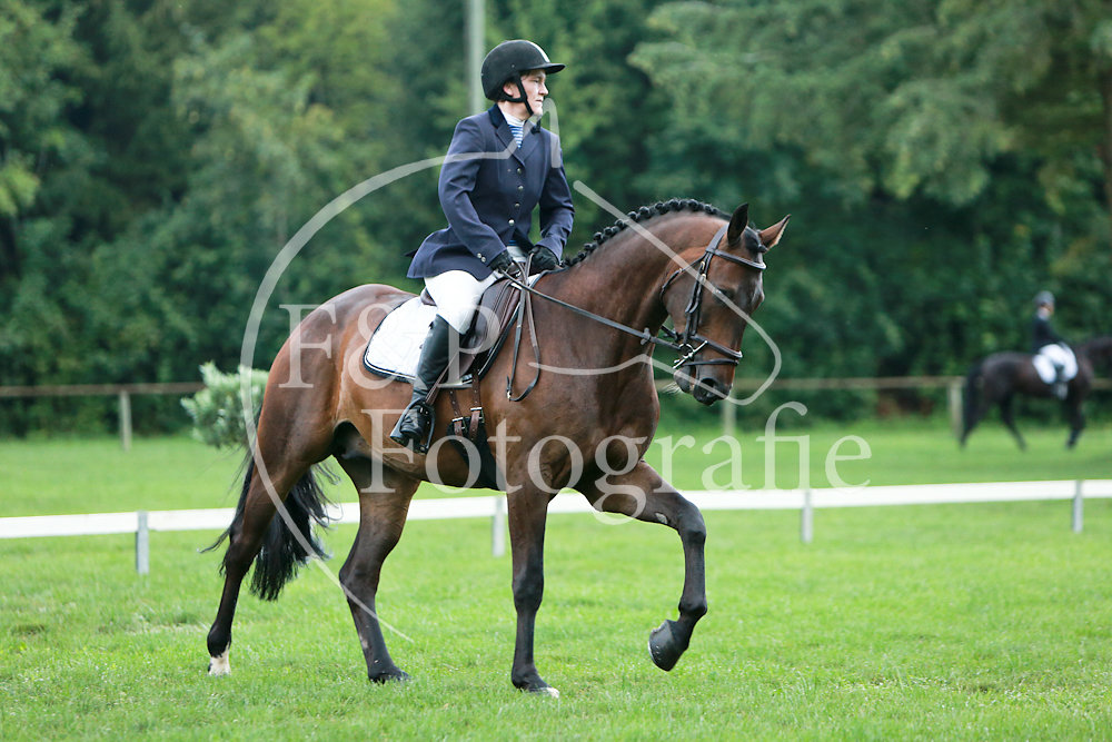 Dressage P1 FB03 A