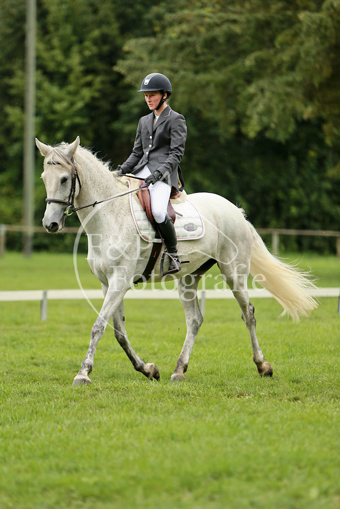 Dressage P1 FB03 B
