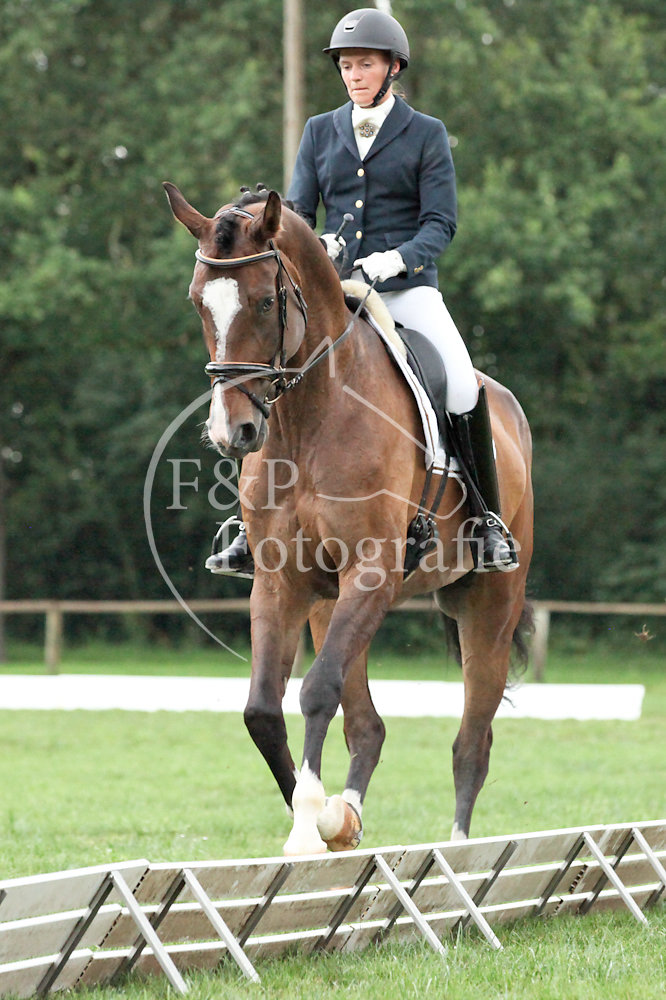 Dressage P3 L12