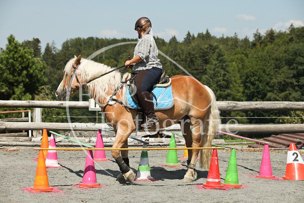 Gymkhana P4 Pony Stufe 2