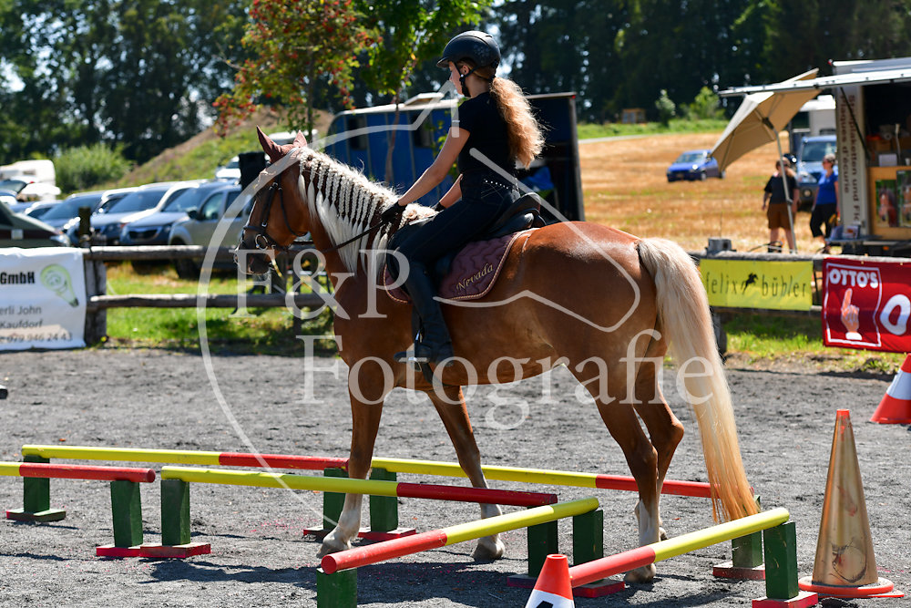 Gymkhana P2 Pferd Stufe 1
