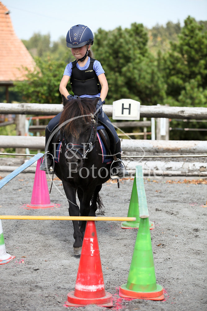Gymkhana P3 Pony Stufe 1