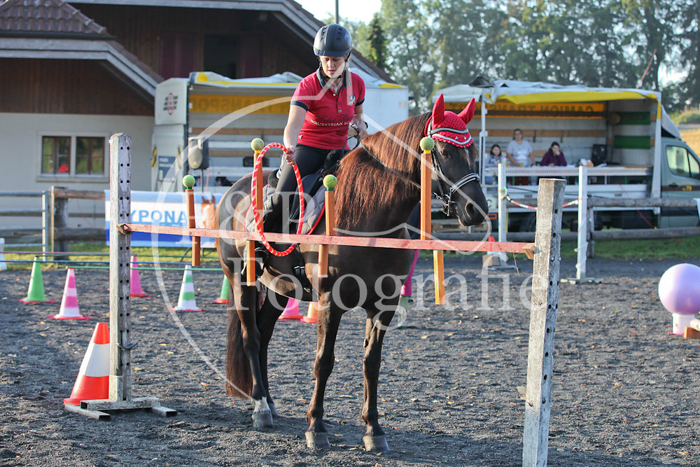 Gymkhana P1 Pferd Stufe 2