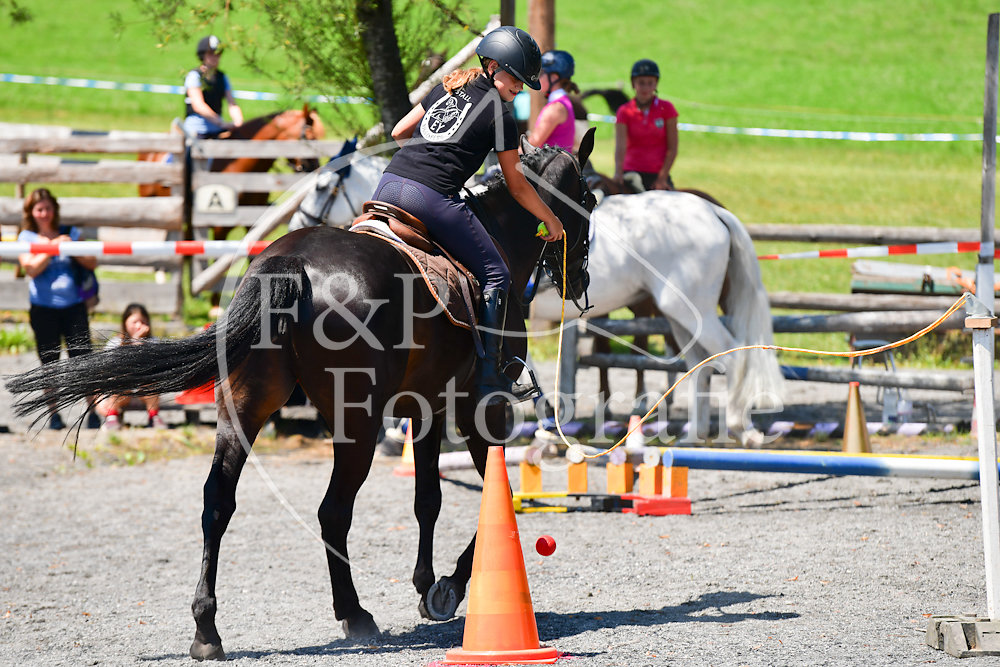20180729121643-PRI-4296.jpg