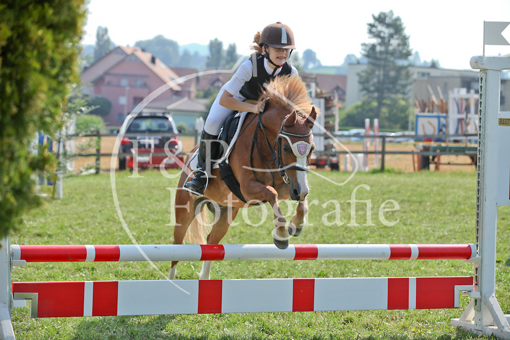 Springen P3 B60