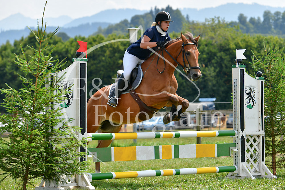 Springen P6 FMHF lI