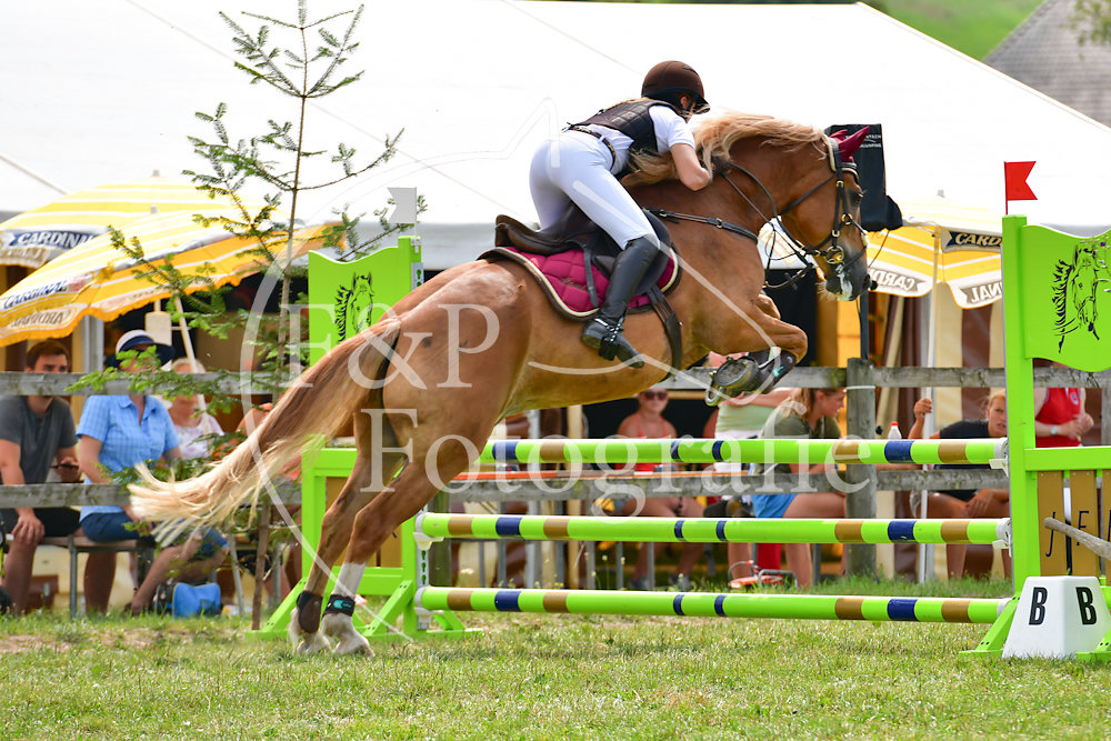 Springen P7 FMHF lII