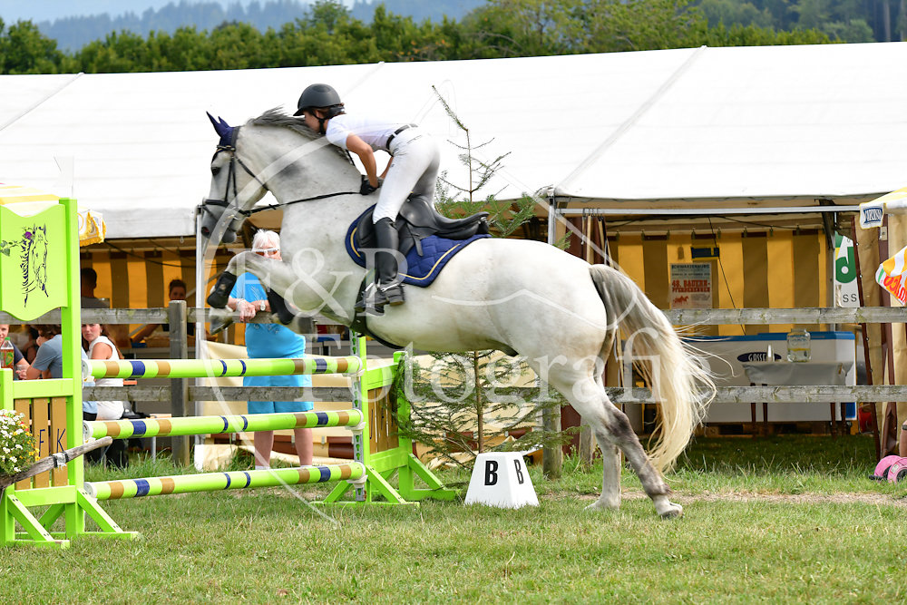 Springen P10 FMHF lII 2Ph