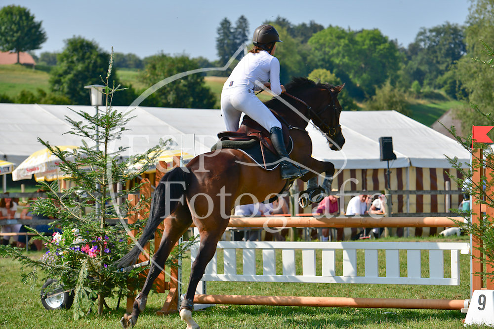 Springen P14 BR100
