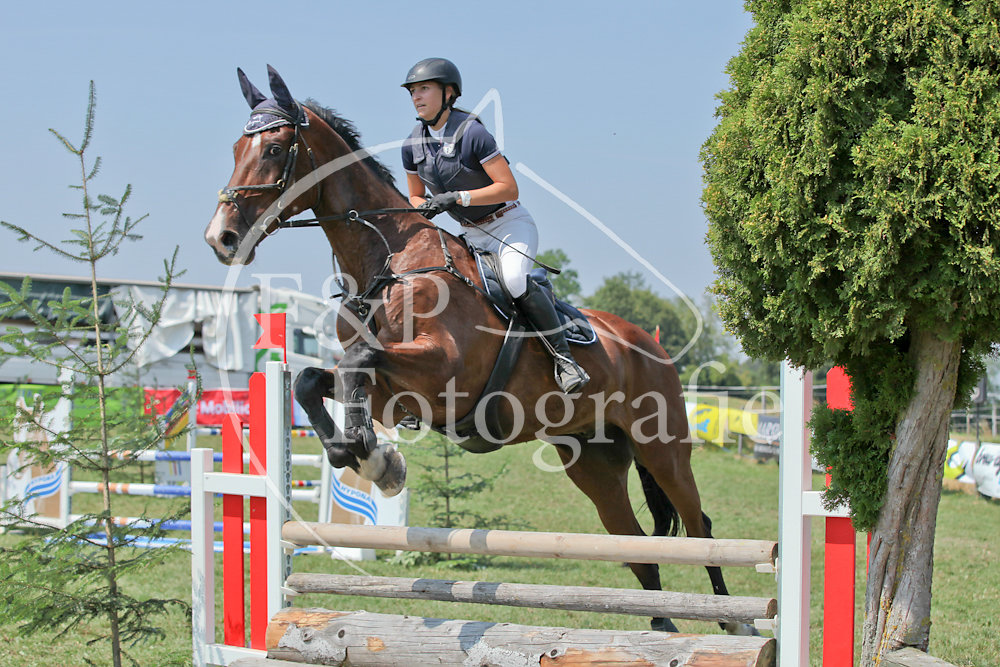 Springen P15 BR105 2Ph