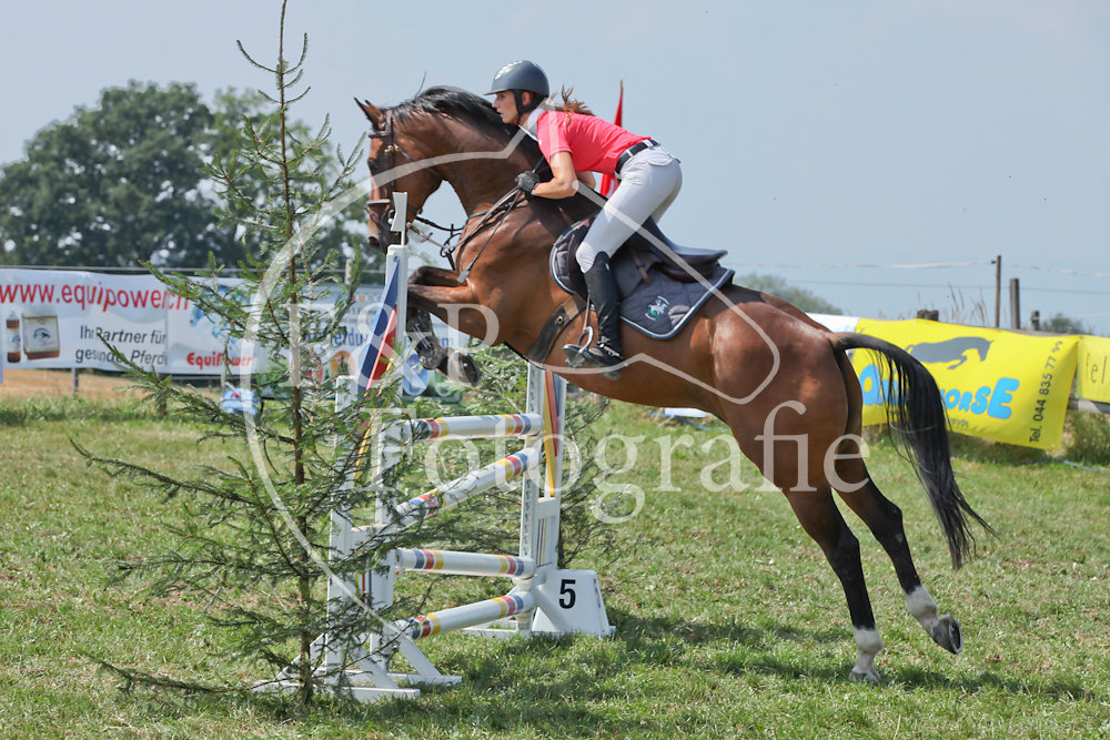 Springen P16 RN110