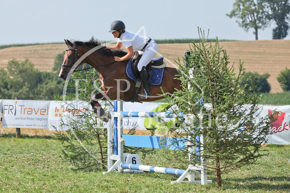 Springen P17 RN115 GR