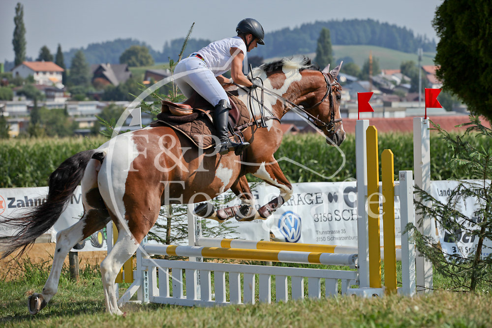 Springen P3 B60