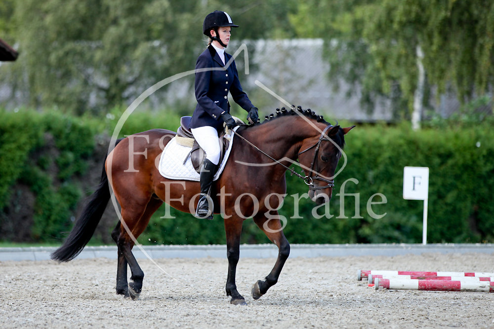 Gehorsam P13 Pony Stufe II
