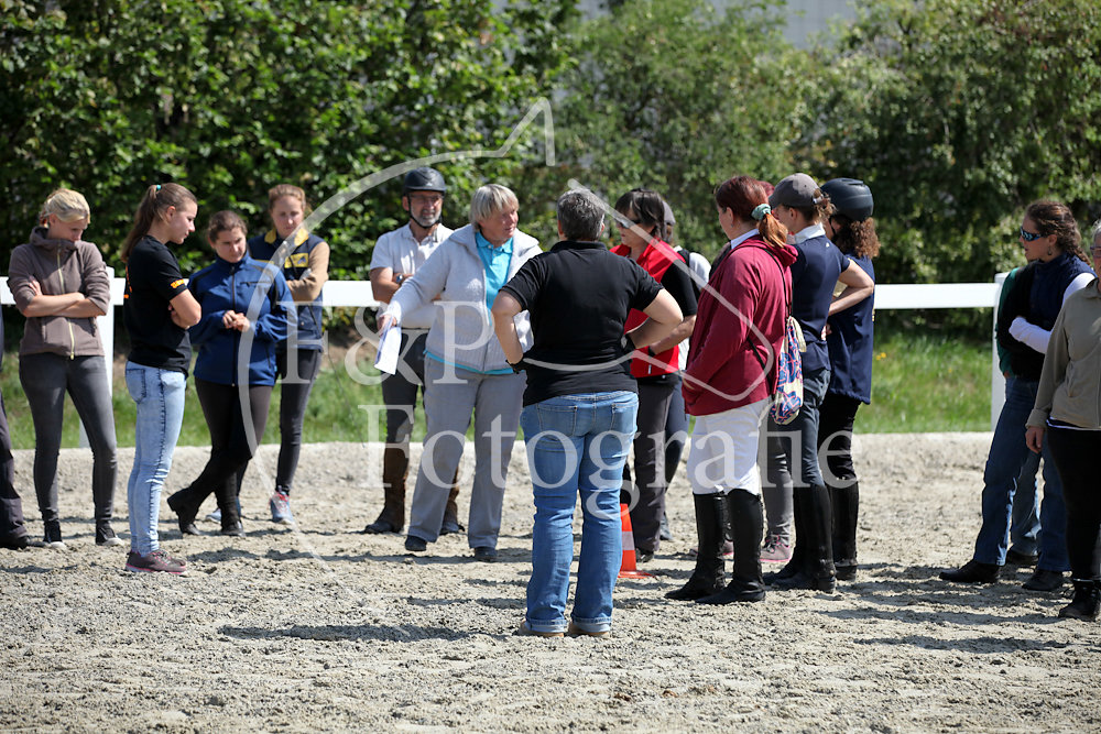 BAP P35 Pony Stufe ll Kat ll