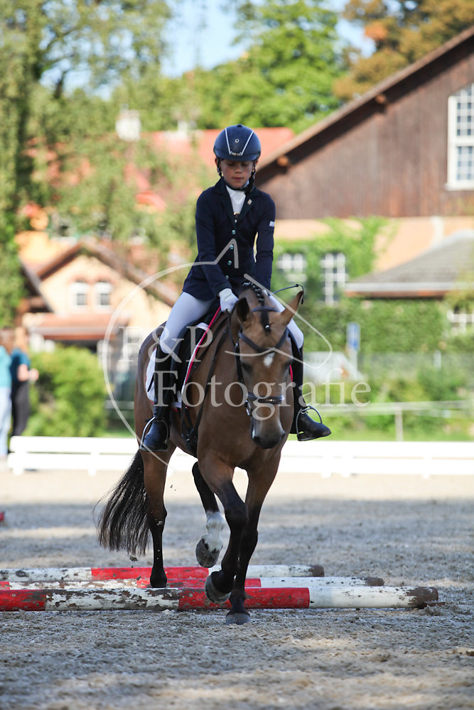 Gehorsam P11 Pony Stufe I