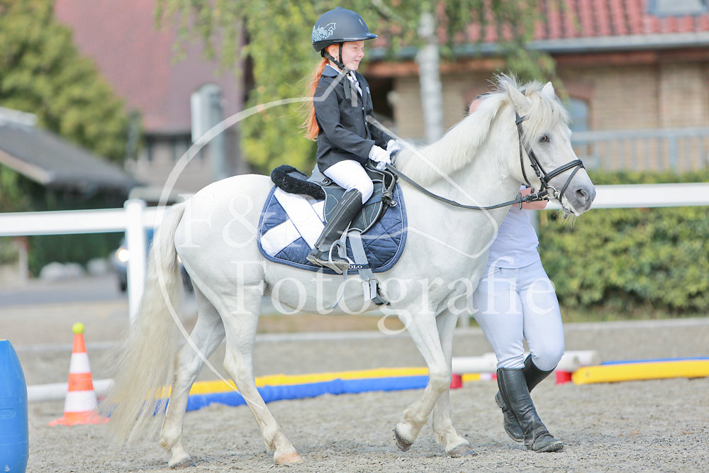 Gymkhana P20 Pony Stufe 0