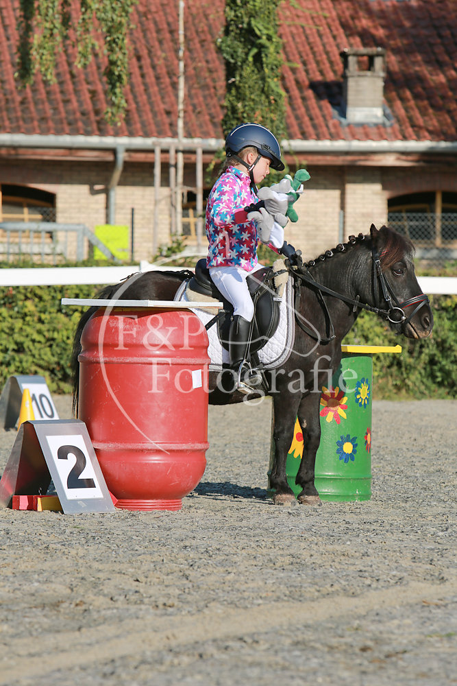Gymkhana P21 Pony Stufe l